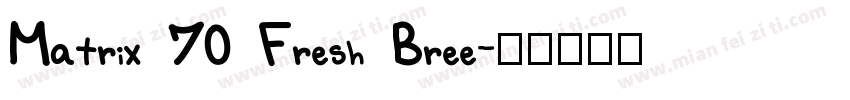 Matrix 70 Fresh Bree字体转换